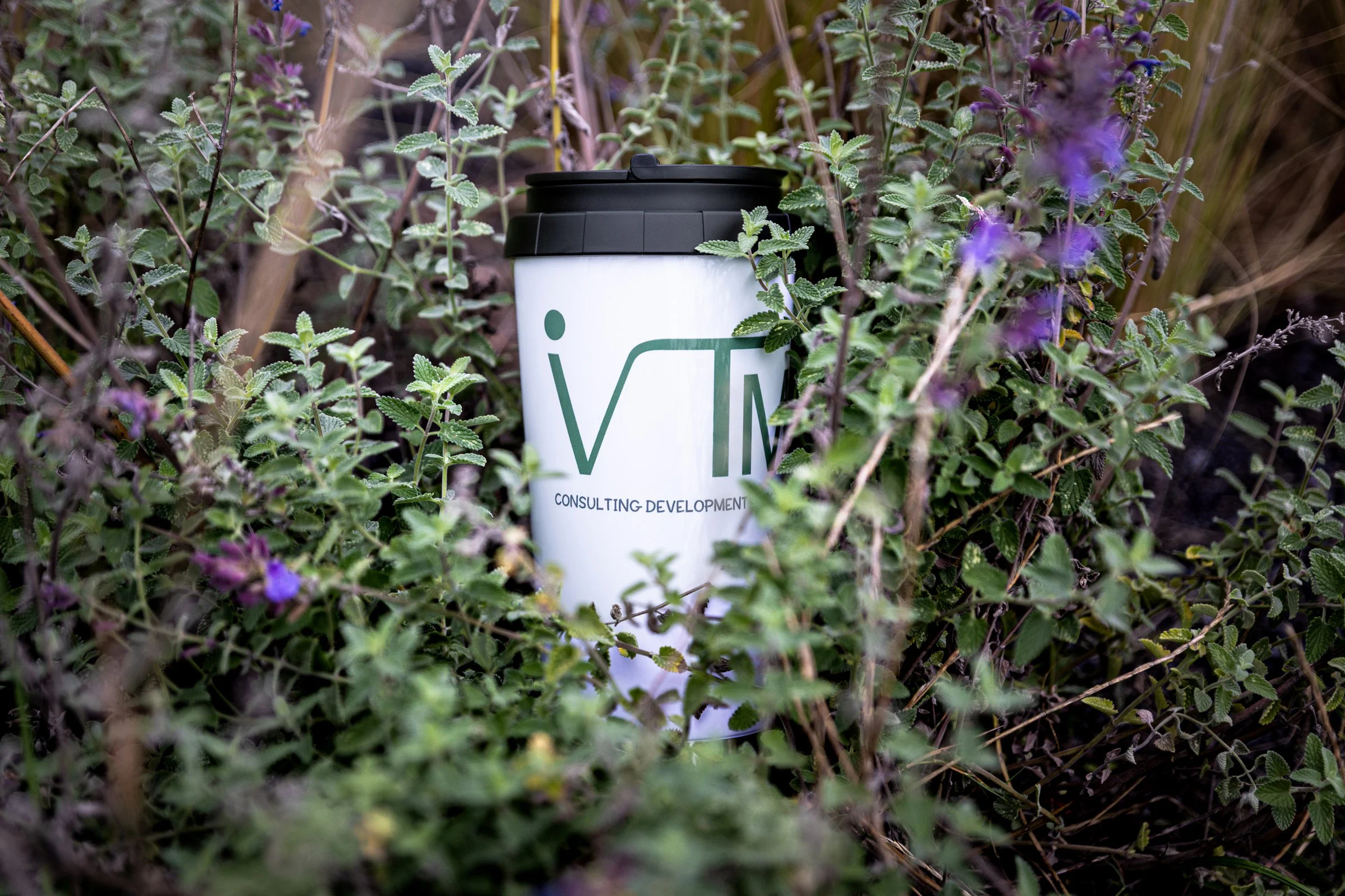 Ein Becher mit IVTM-Logo steht zwischen blühenden Kräutern